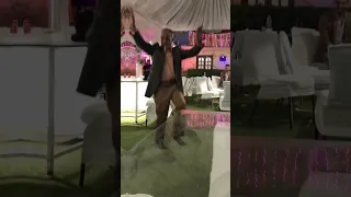 استني استني ا احمد عامر 