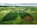 Download Lagu Emancipator - Safe In The Steep Cliffs (Full Album)