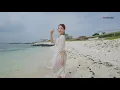 제주의 이국적인 섬 우도정원 야자수숲길 핑크뮬리