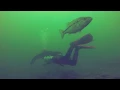 SCUBA Diving in Millerton Lake