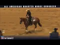 Congress 2022 NRHA Green 2 22 Pattern 11