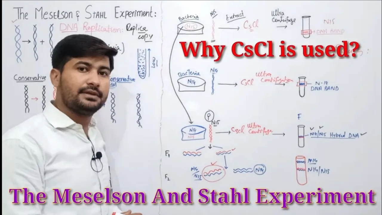 20.6 The Meselson and Stahl experiment | Models of DNA replication| fsc 2nd year Biology