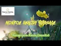 Serenity Bliss at Monroe Healthy Massage Monroe CT
