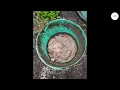 Septic Pumping Near Me Septic Tank Cleaning Repair in Auburn Kent Federal Way WA