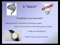 What is a Watch