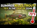 What Happens To Stocked Trout In Summer