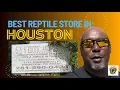 Best Reptile Store in Houston