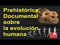 Download Prehistórica, Documental sobre la evolución humana mp4 3gp mp3 videos - waplic