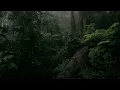 Chrono Cross - Forest of Cutting Shadows 【Cover by Federico Dubbini】