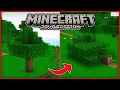 Timber Physics Datapack for Minecraft Minecraft Java 1 19 - 1 20