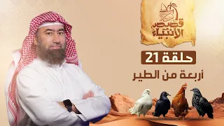 نبيل العوضي أربعة من الطير ماذا طلب إبراهيم الخليل من ربه 
