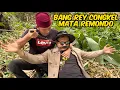 Download Lagu BALAS DENDAM BANG REY CONGKEL MATA REMONDO BOS PREMAN 
