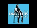 Download Lagu Titanium (feat. Che'Nelle)