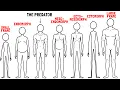 What Your Body Type Reveals About You