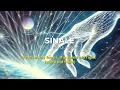 Download Lagu The First Question - Sinalé (Official Lyric Video)