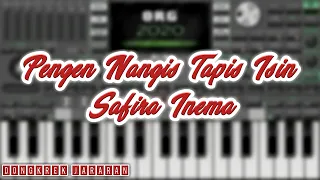 Download Pengen Nangis Tapi Isin - Safira Inema Dongkrek Jaranan ORG 2020 VIP MP3