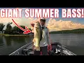 Is Alabama s Warrior River The Best Kept Secret In Fishing Lets Find Out