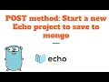 RESTful API in Golang using Echo - new project using POST method saving to mongodb