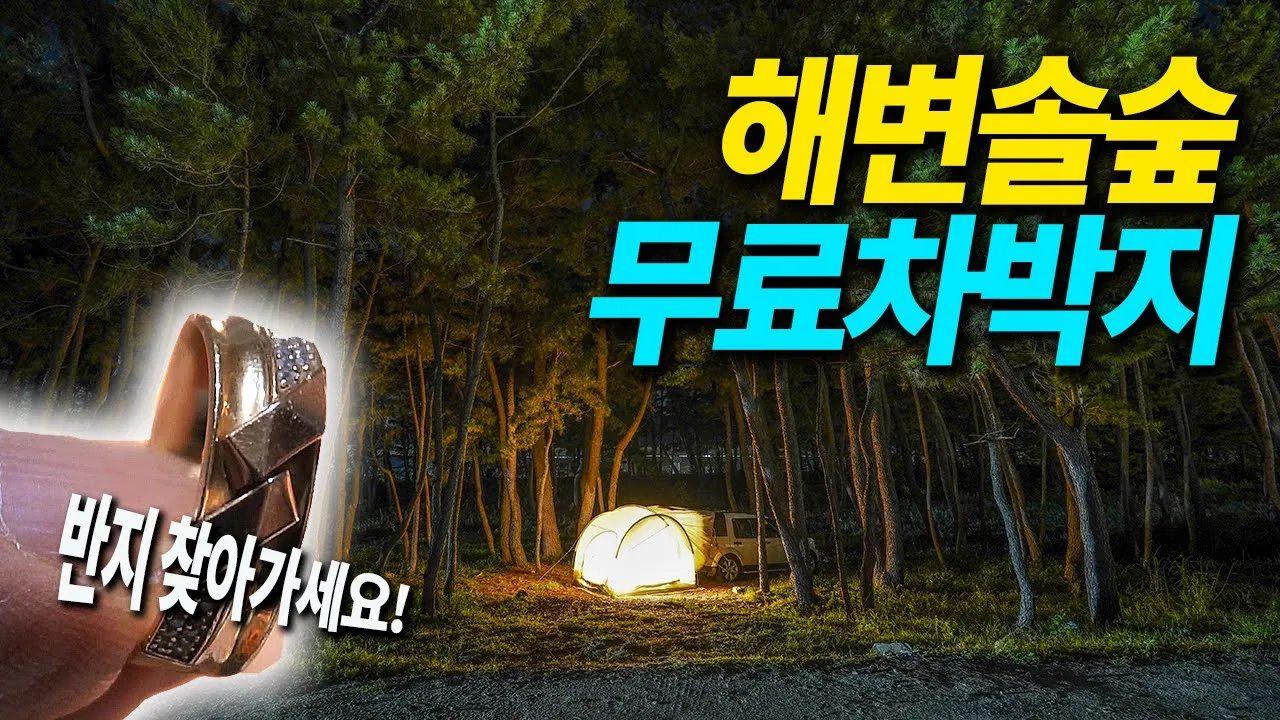 무료로 이용할수 있는 해변솔숲 차박지/ 스노쿨링 / 삼척레일바이크 / 동해차박지 / 원평해변 / 디스커버리4 차박 캠핑 / camping / korea tour 썸네일