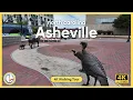 Walking Through Asheville NC in 4K Downtown Asheville Ambient City Tour