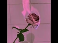 ELECTRIC GUEST-Oh Devil