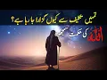 Lagu “Tumhen Itni Takleef Se Kyun Guzara Ja Raha Hai? Allah Ki Hikmat Samjho” | Alpha Reminder 
