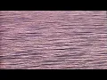 Flore Laurentienne - Route