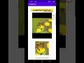 ImageView 7 scale types