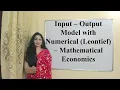 Input - Output Model with Numerical Leontief