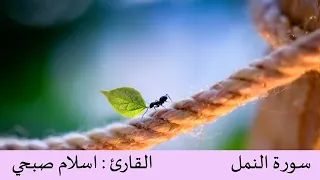 جميع تلاوات القارئ اسلام صبحي بدون حقوق 