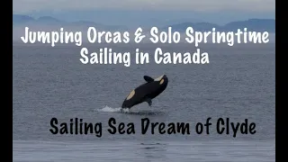 Killer Whales, Chill Solo Sailing, and an Epic Sunset | Episode 3 | Nanaimo to Kendrick Island