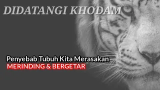 Download Penyebab Tubuh Kita Merinding dan Bergetar‼️Didatangi Khodam Sampai Menerima Kiriman Sebuah Energi MP3