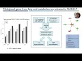 Download Lagu A Machine Learning Tool Integrating Circulating Cell... - Cristina Baciu - TransMed - ISMB/ECCB 2023