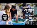 Download Lagu Konishi Koi News - Alle Koi aus Auktion No. 701 im Detail erklärt