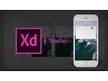 Create a Working Switch UI - Adobe Xd Tutorial