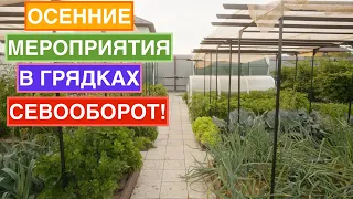 Важно сделать это в грядках в конце сезона! Готовим сани с лета - версия садоводов!