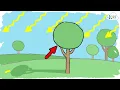 What Makes a Shadow? | Light and Shadows for Kids