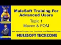 Topic 1 for Advance Users sravanlingam Mule4
