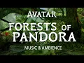 Download Lagu Forests of Pandora | Avatar Music and Ambience