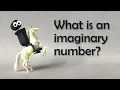 What is an imaginary number