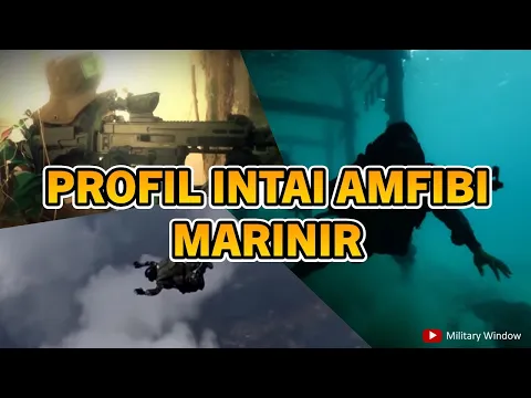 Download MP3 PROFIL INTAI AMFIBI (TAIFIB) KORPS MARINIR