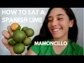 How to Eat a Spanish Lime aka