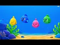 Cinq petits poissons 🐟 Comptine et chanson pour enfants 🦈 LumiCoco Français