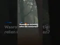 Waarom kon de politie rellen niet voorkomen?