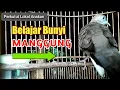 Download Lagu Suara Perkutut Lokal Anakan