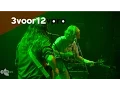 Download Lagu Ty Segall - Live @ Paradiso, Amsterdam 03-11-2014