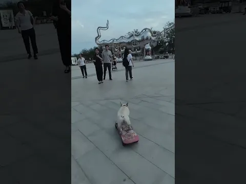 #funny