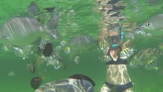 07 –  Leaving Florida & Cruising the Bahamas