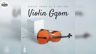 deejay zebra sa u0026 protee beautiful bay violin mix 