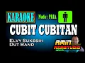 Download Lagu CUBIT CUBITAN || Elvy Sukesih || KARAOKE Nada PRIA